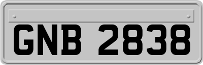GNB2838