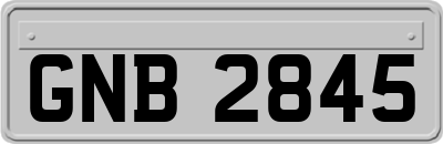 GNB2845