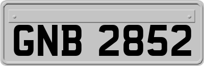 GNB2852