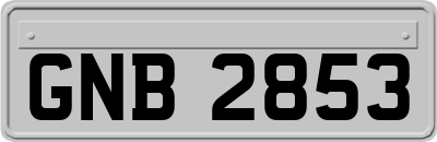 GNB2853