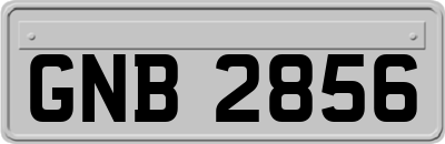 GNB2856