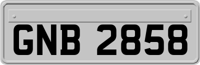 GNB2858