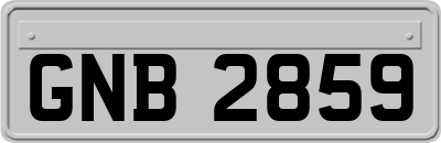 GNB2859