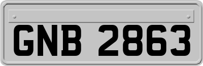 GNB2863