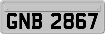 GNB2867