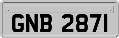 GNB2871