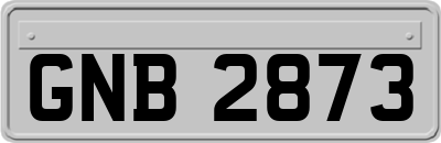 GNB2873