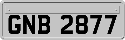 GNB2877