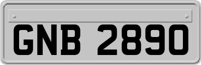 GNB2890