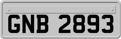 GNB2893