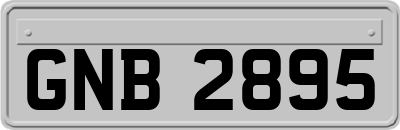 GNB2895