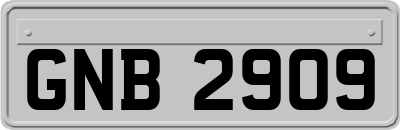 GNB2909