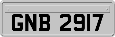 GNB2917