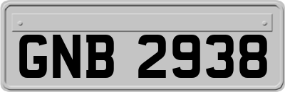 GNB2938