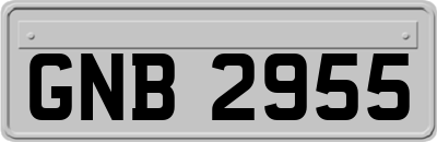 GNB2955