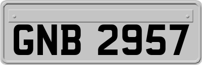 GNB2957