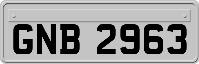 GNB2963