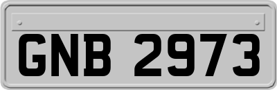 GNB2973