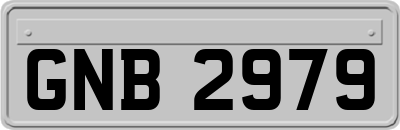 GNB2979