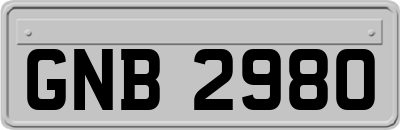 GNB2980