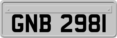 GNB2981