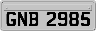 GNB2985