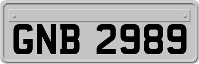 GNB2989