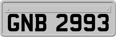 GNB2993