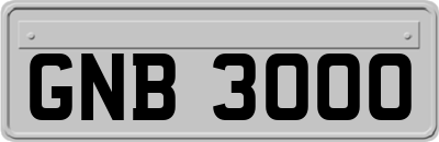 GNB3000