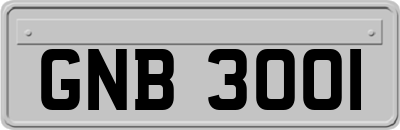 GNB3001