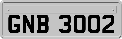 GNB3002