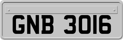 GNB3016