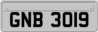 GNB3019