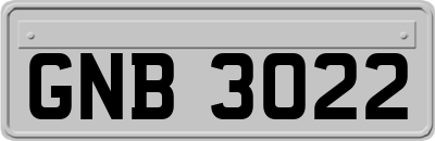 GNB3022