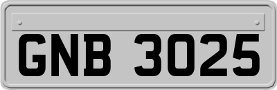 GNB3025