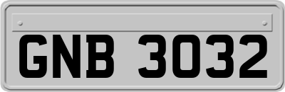 GNB3032