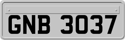 GNB3037