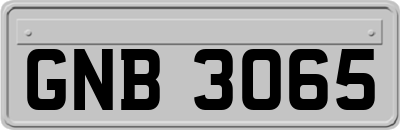 GNB3065