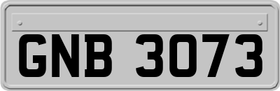 GNB3073