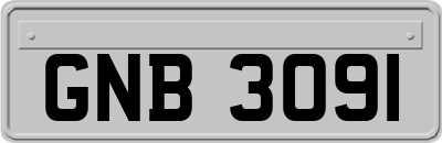 GNB3091