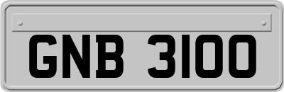 GNB3100