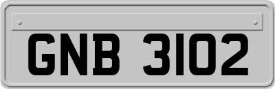 GNB3102