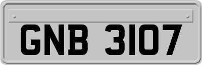 GNB3107