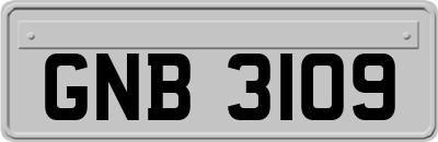GNB3109