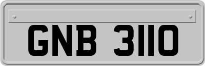 GNB3110