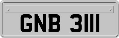 GNB3111