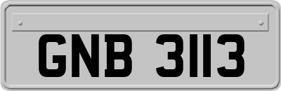 GNB3113