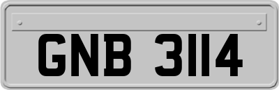 GNB3114