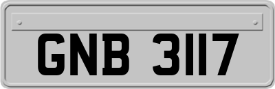 GNB3117