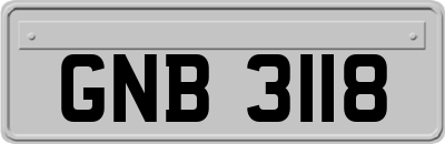 GNB3118